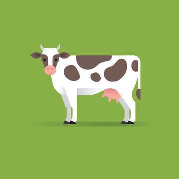 Vector cow illustration.
