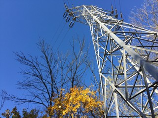 Power line in the autumn forest