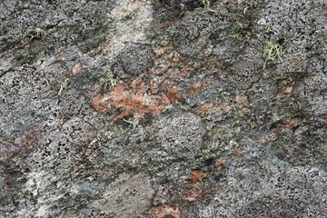 Rough stone texture background with lichen