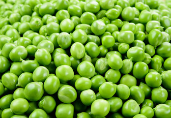 Peas. Green background. Peas background. Macro. Top view.