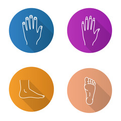 Body parts flat linear long shadow icons set