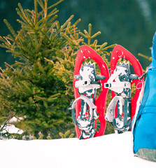 Snowshoes for tracking in winter.