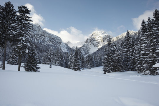 Winter scenery, Laengental, Lenggries, Upper Bavaria, Germany