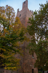 Fototapeta na wymiar torre Rovigo