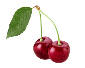 Sweet cherry berry. Two on a branch with leaf