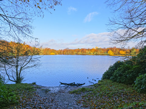 A muddy bank leads to the edge of a lake, trees around the lake are in autumnal colours