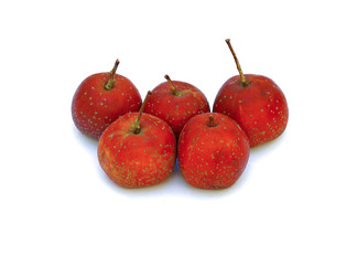 Red Hawthorn fruit isolated on white background