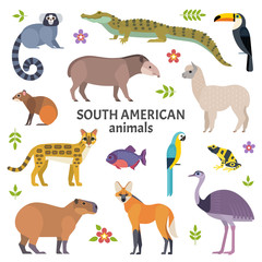 Animals of South America. Vector illustration of exotic animals, such as cayman, tapir, capybara, ocelot, alpaca, piranha, toucan and ara. Isolated on white.