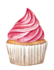 Cupcake dessert decorated with pink colored butter cream. White wrapper baking cup. One single object, side view. Beautiful compliment. Hand drawn watercolour illustration, isolated, white background.