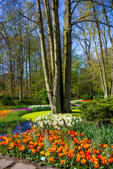 Keukenhof park in Netherlands