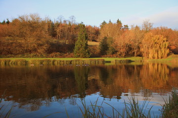Obraz premium Autumn lake reflections