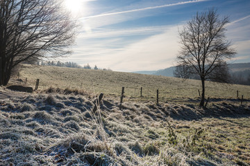 Sächsische Schweiz am Morgen