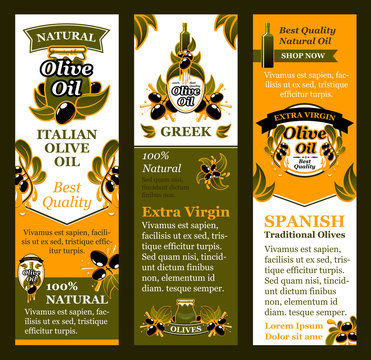 Vector olives banners for Italian olive oil