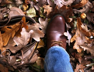 A man's leg in jeans and a brown boot against the background of a carpet of fallen autumn brown oak leaves.