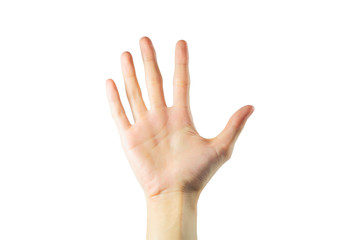 Fototapeta premium Beautiful female hand isolated on white background, asian, yellow skin.