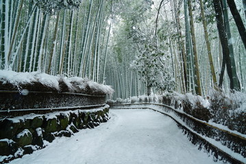 Fototapeta premium Kioto Arashiyama bambusowy las śnieżna scena