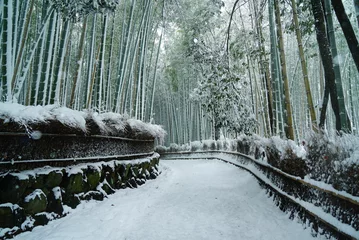 Crédence de cuisine en verre imprimé Kyoto Scène de neige de la forêt de bambous de Kyoto Arashiyama