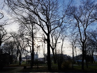 Park © michalsen