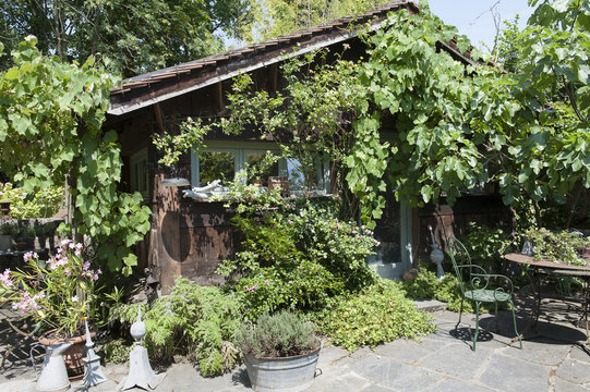 Cabane de jardin en bois recouvert de vigne et de rosiers en &eacute;t&eacute; et sa terrasse, table et chaises en fer forg&eacute; chin&eacute;