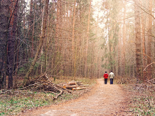 An elderly couple is walking along a forest path. In the hands of people there are walking sticks. Man and woman support a healthy lifestyle
