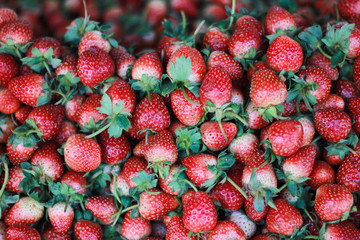strawberry stack in market