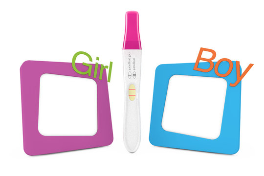 Positive Plastic Pregnancy Test between Photo Frames with Girl and Boy Signs. 3d Rendering
