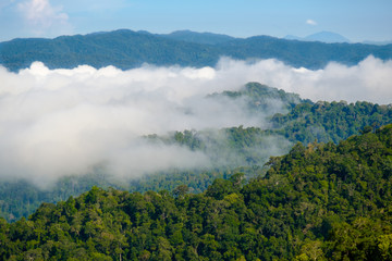 The fog at Khao Phanoen Thung, Kaeng Krachan National Park in Thailand