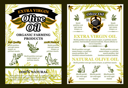 Vector olives poster for organic olive oil