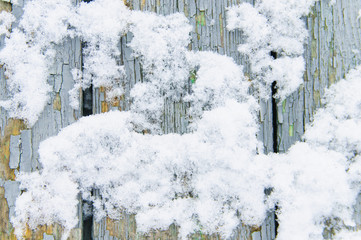 Snow on the fence