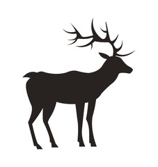 Medium-Sized Adult Male Deer Colorless Black Icon