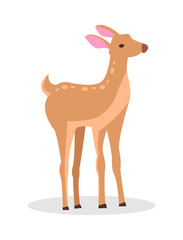Adult Doe Isolated Vector in Cartoon Style Icon