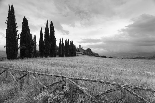 Alley with cypress trees, Castello di Romena castle in the background, near Pratovecchio, near Poppi, Casentino, Arno valley, province of Arezzo, Tuscany, Italy, Europe