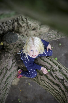Girl sitting on tree branch and looking at camera