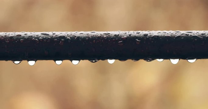 Raindrops In Autumn With Warm Colors Closeup Steady Footage