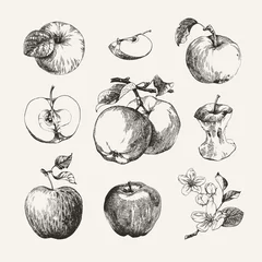 Fotobehang Ink drawn collection of apples © liliya shlapak
