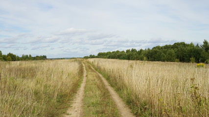 Fototapeta premium road