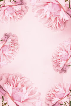 Beautiful pink roses artistic background