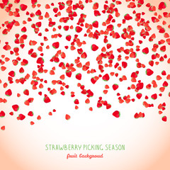 Falling strawberries text frame. Strawberry season poster or flyer. Copy space. Fresh juicy fruits. Vegetarian banner. Tiny berries scatter.