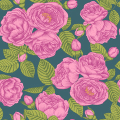 Vector floral seamless pattern with bouquets of hand drawn pink roses. Floral background in vintage style.