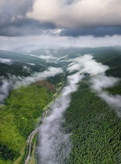 Forest as a background. Natural background from air