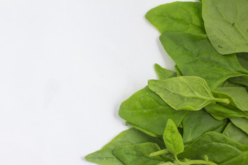 Brazilian Spinach Leaves Frame