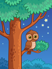 Obraz premium Owl at night sit on a tree branch. Vector illustration with a bird in cartoon style.