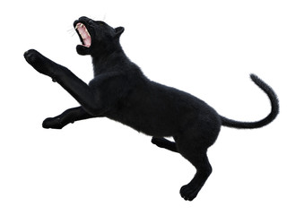 3D Rendering Black Panther on White