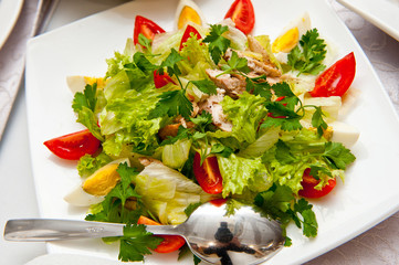 Hot vegetable salad with egg, tomato and meat
