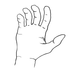 coloring hand male bent fingers palm.  illustration