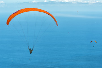 colored paragliders above blue ocean on cloudy sky background