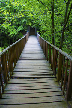 bridge
