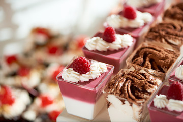 Raspverry and chocolate flavored jelly desserts on the table at the candy buffet of the restaurant copyspace selective focus background eating food nutrition concept.