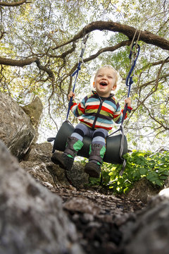 Smiling boy on tree swing