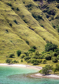 High angle view of Pink beach.